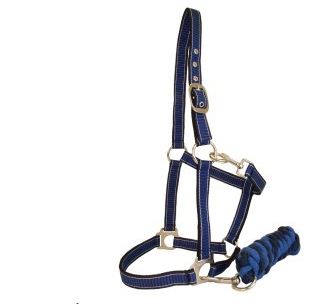 Full Size Halter & Lead Set - Blue/Navy