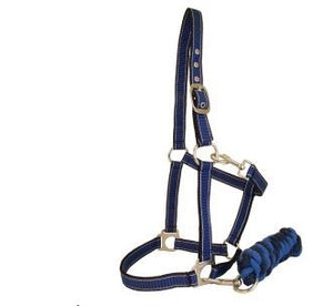 Full Size Halter & Lead Set - Blue/Navy