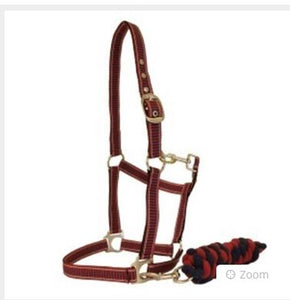 Full Size Halter & Lead Set - Red/Navy
