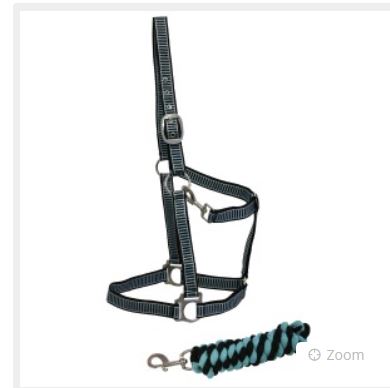 Full Size Halter & Lead Set - Black/Turquoise