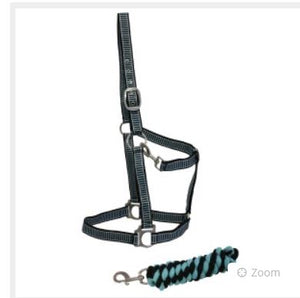 Full Size Halter & Lead Set - Black/Turquoise