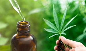 Holistic Products - CBD Hemp Extract