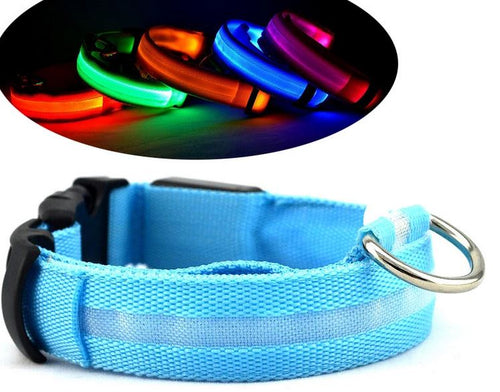 Reflective Nylon Dog Collar