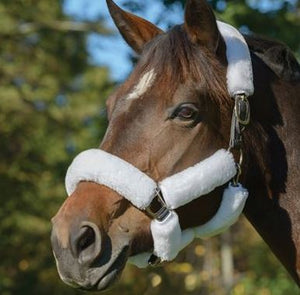 Fleece covered full size halter