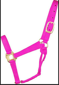 Halters - foal, mini, small pony, pony, cob, full, extra full