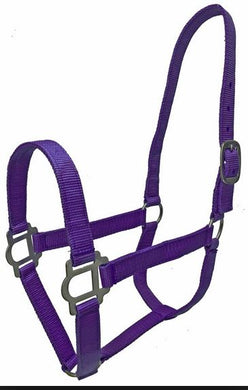Halters - foal, mini, small pony, pony, cob, full, extra full